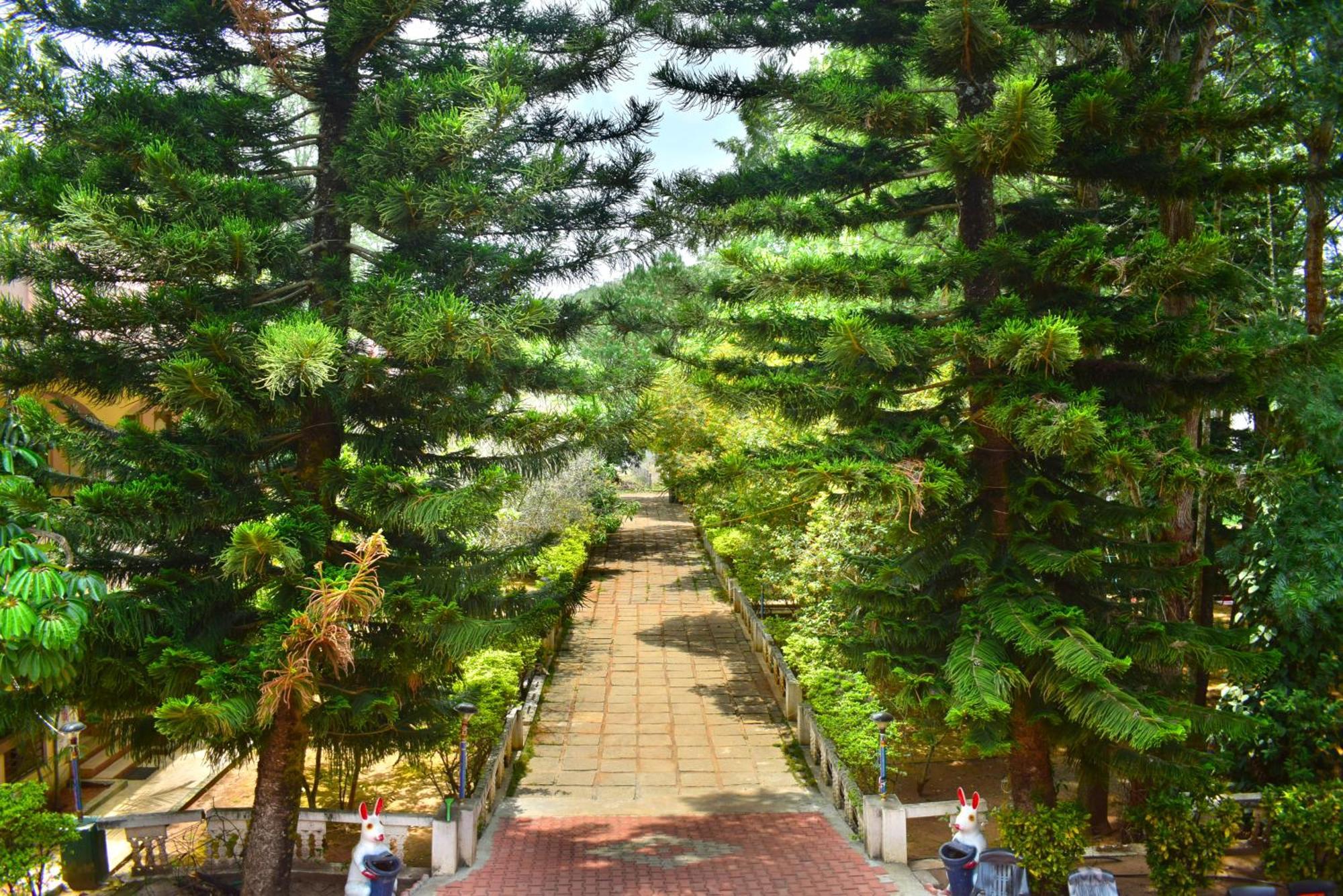 Jains Royal Palace Resorts Йелагери Экстерьер фото